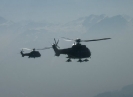 Helis
