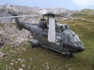 Helis